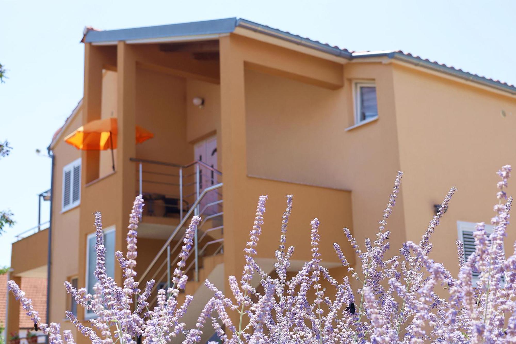 Guesthouse Miranda NP Krka Lozovac Eksteriør billede